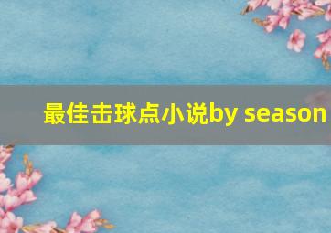 最佳击球点小说by season